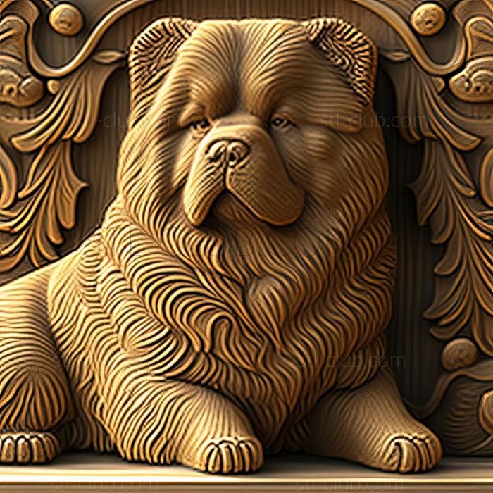 st Chow chow dog